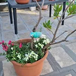 Tatil Evi Palace