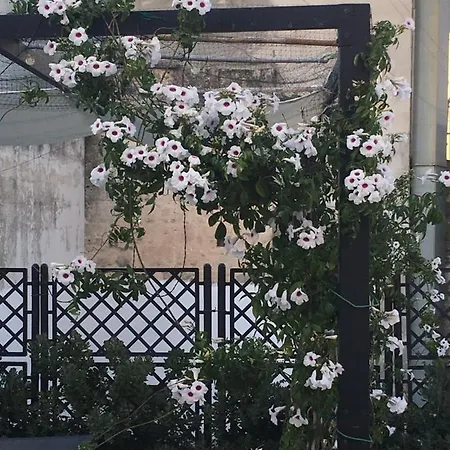 Palace بيت للعطل